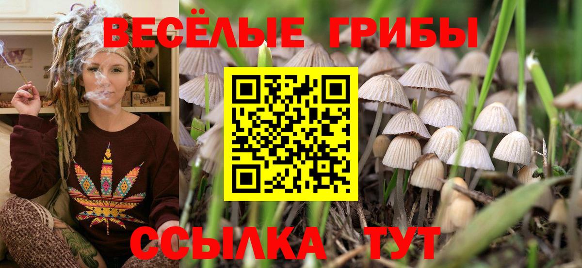 Псилоцибиновые грибы GOLDEN TEACHER  Вход с VPN  Галлюциногенные грибы мицелий  Кубинка 