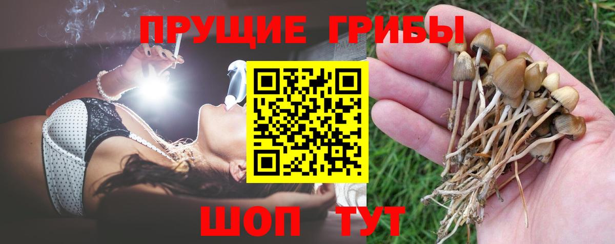 Галлюциногенные грибы ЛСД Кубинка